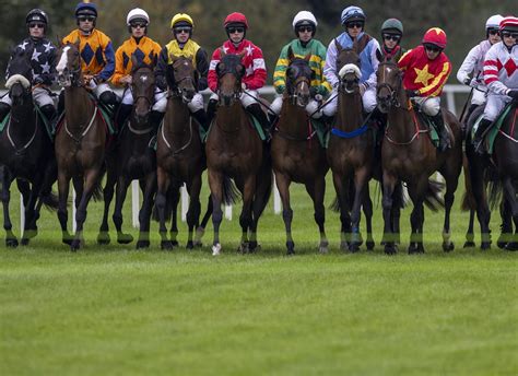 horse racing ireland results|List of Irish horse racing fixtures for June 2020.